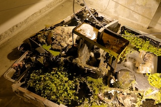 The Mechanical Garden and Other Long Encores