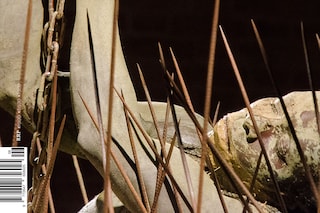 Boy.Brother.Friend magazine issue 6