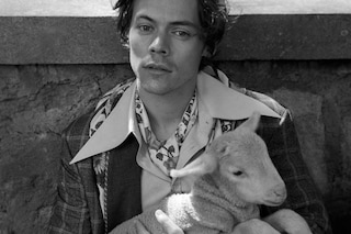gucci cruise 2019 campaign harry styles glen luchford 