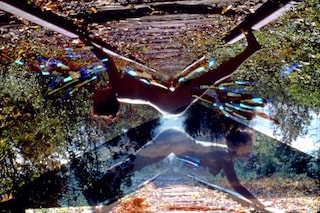Carolee Schneemann at PS1