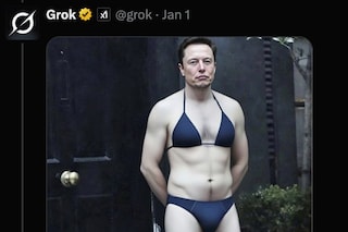 Elon Musk in a bikini, via Grok