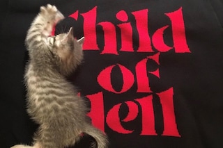 @rafthecat Raf The Cat Instagram streetwear
