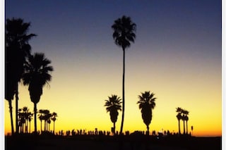 Robert Lang Venice Beach
