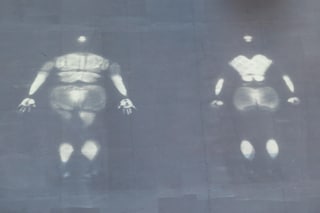 Tania Bruguera