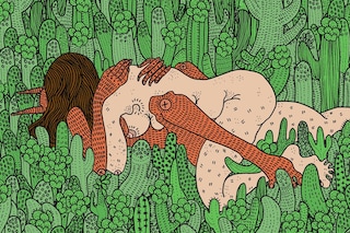 Polly Nor