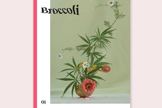 Broccol01_CoverSquare