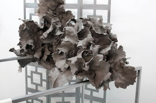 Lucy Whitford, untitled, 2014 (detail)