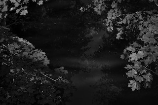 Adam Pape’s Dyckman Haze