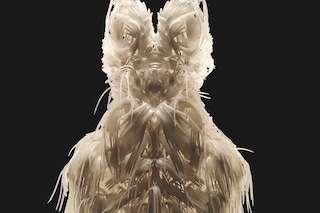 Iris van Herpen_Biopiracy. Credit B. Oomes x IVH