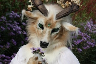 jashis &quot;He loves me, he loves me not...&quot;