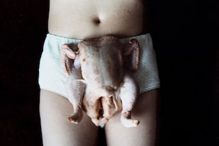 Sarah Lucas – Au Naturel