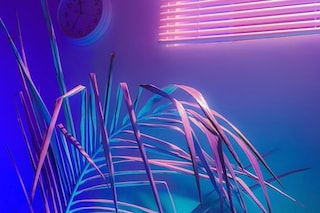 Signe Pierce’s Faux Realities