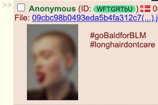 4chan #baldforblm hoax