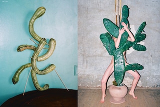SYNCHRODOGS