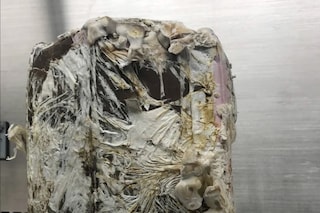 A stool constructed out of mycelia after two weeks of growth