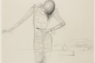 Imagination and Daring: Dal&#237; and Schiaparelli