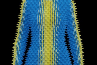 Maul top_Chet Lo_Black Bg
