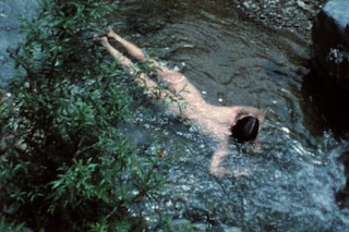 Laid Bare in the Landscape - Ana Mendieta 
