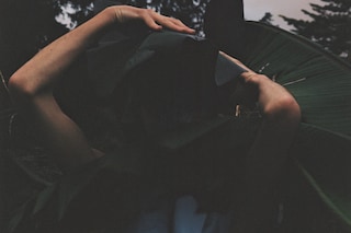 Ryan Skelton: Land Swallow