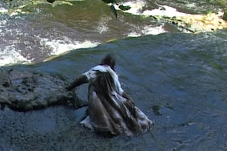 Ryan Skelton: Land Swallow