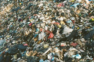 Thrift Book and Exhibition Images