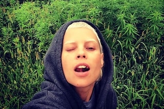 Die Antwoord Weed