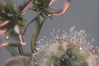 Digi-Gxl pictures gallery Dazed 100