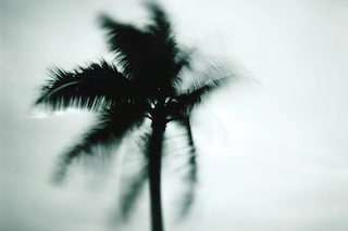 NARS_TAHITI_RGB_0001