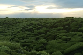 Bella Howard - Iceland
