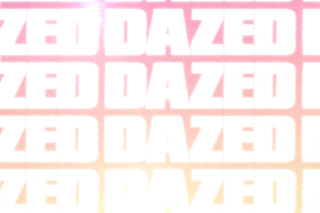 Tiktok Chicken Bag emma chamberlain 