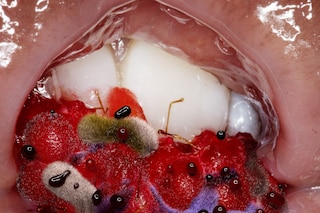 Lucy Hardcastle and Maisie Cousins, “Body Bubbles” (2023)