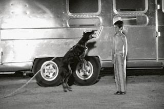 Jonathan Glazer, Radiohead, Street Spirit (Fade Out) (1996)