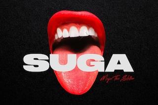 Megan Thee Stallion - Suga