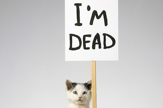 David Shrigley, “I’m Dead” (2007)