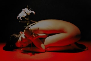 Marcin T. Jozefiak, Fearless Flowers