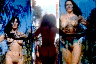 Carolee Schneemann at PS1