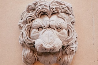A lion head captured on the streets of Rome Gucci