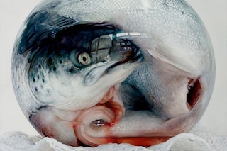 Cindy Wright Nature Morte 2, 2010 oil on linen