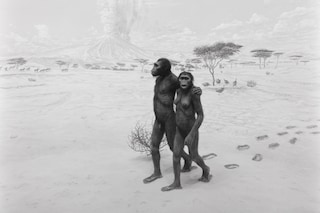 Hiroshi Sugimoto, ‘Earliest Human Relatives’ (1994)