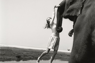 &#169; Elisabeth Toll