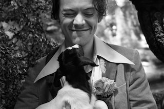 gucci cruise 2019 campaign harry styles glen luchford 