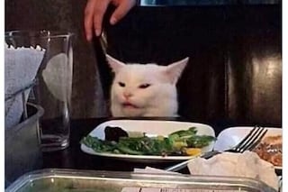 Screen Shot 2019-08-05 at 12.24.47