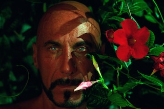 To Die Alive Matthew Leifheit Fire Island gay LGBT