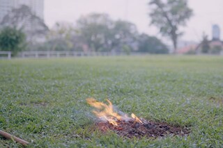 10635791_10152689462072386_427188634410477359_n