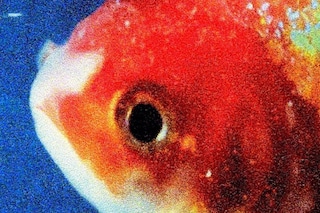 Vince Staples - Big Fish Theory