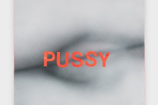 Betty Tompkins_Pussy #5