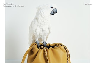 Loewe Paula’s Ibiza Photography Gray Sorrenti