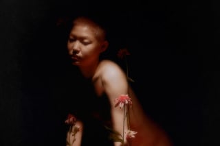 Marcin T. Jozefiak, Fearless Flowers