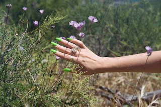 Luisa Opalesky Beauty Trilogy