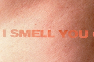 jenny holzer truism art graphic typography